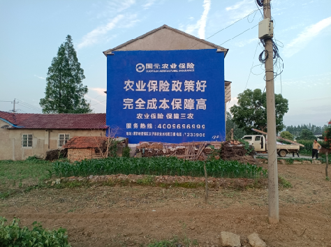 长顺墙体广告为何受追捧?